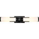 Roselle 2 Light 24 inch Matte Black Vanity Light Wall Light