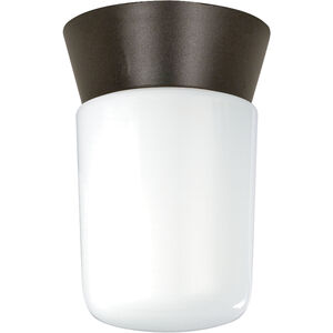 Brentwood 1 Light 4 inch Bronzotic Outdoor Ceiling Mount