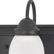 Ballerina 3 Light 24 inch Mahogany Bronze Vanity Light Wall Light