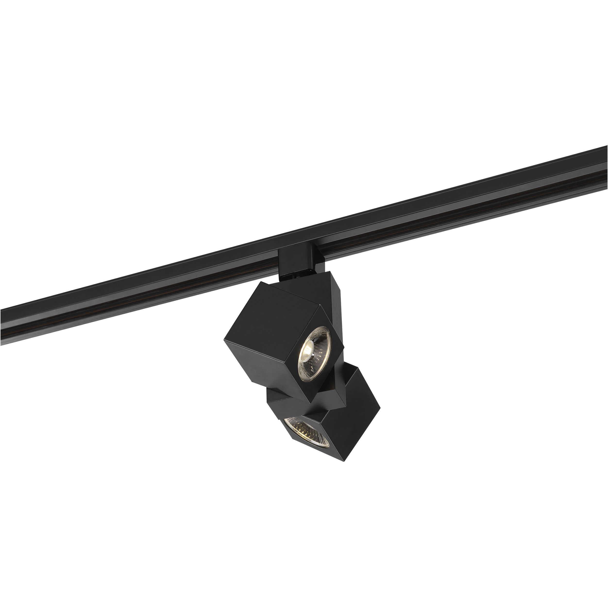 Dual Square 120 Black Track Head Ceiling Light