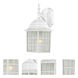 Adams 1 Light 13.75 inch White Outdoor Wall Lantern