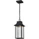 Austen LED Matte Black Outdoor Hanging Fixture