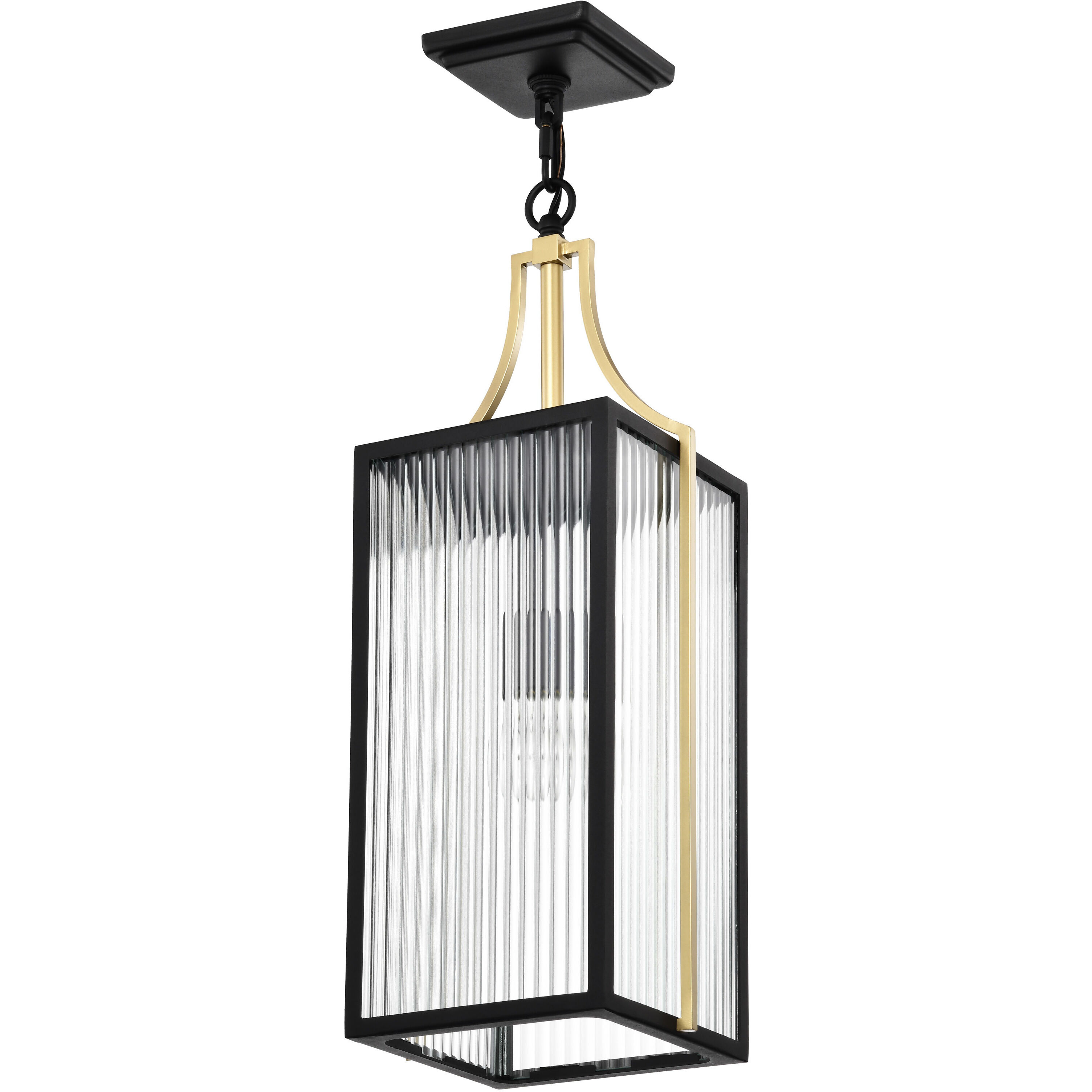 Holden 8.5 inch Black and Gold Outdoor Hanging Light