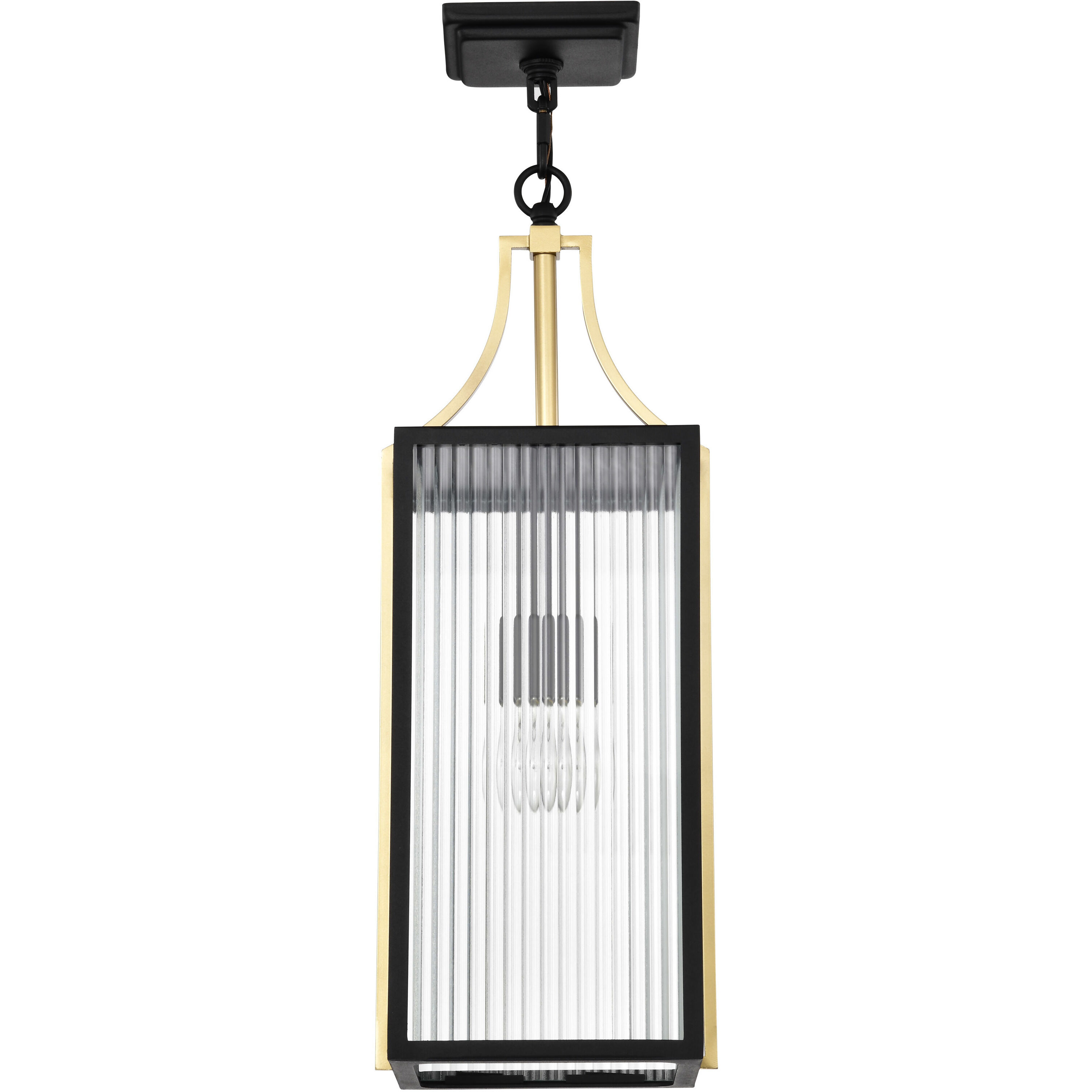 Holden 8.5 inch Black and Gold Outdoor Hanging Light