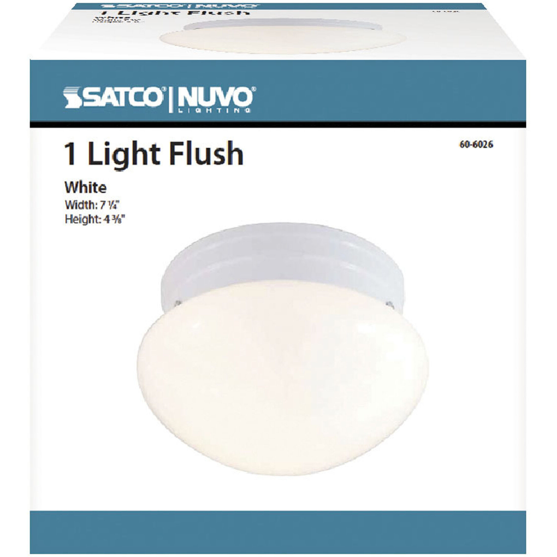 Brentwood 1 Light 8 inch White Flush Mount Ceiling Light