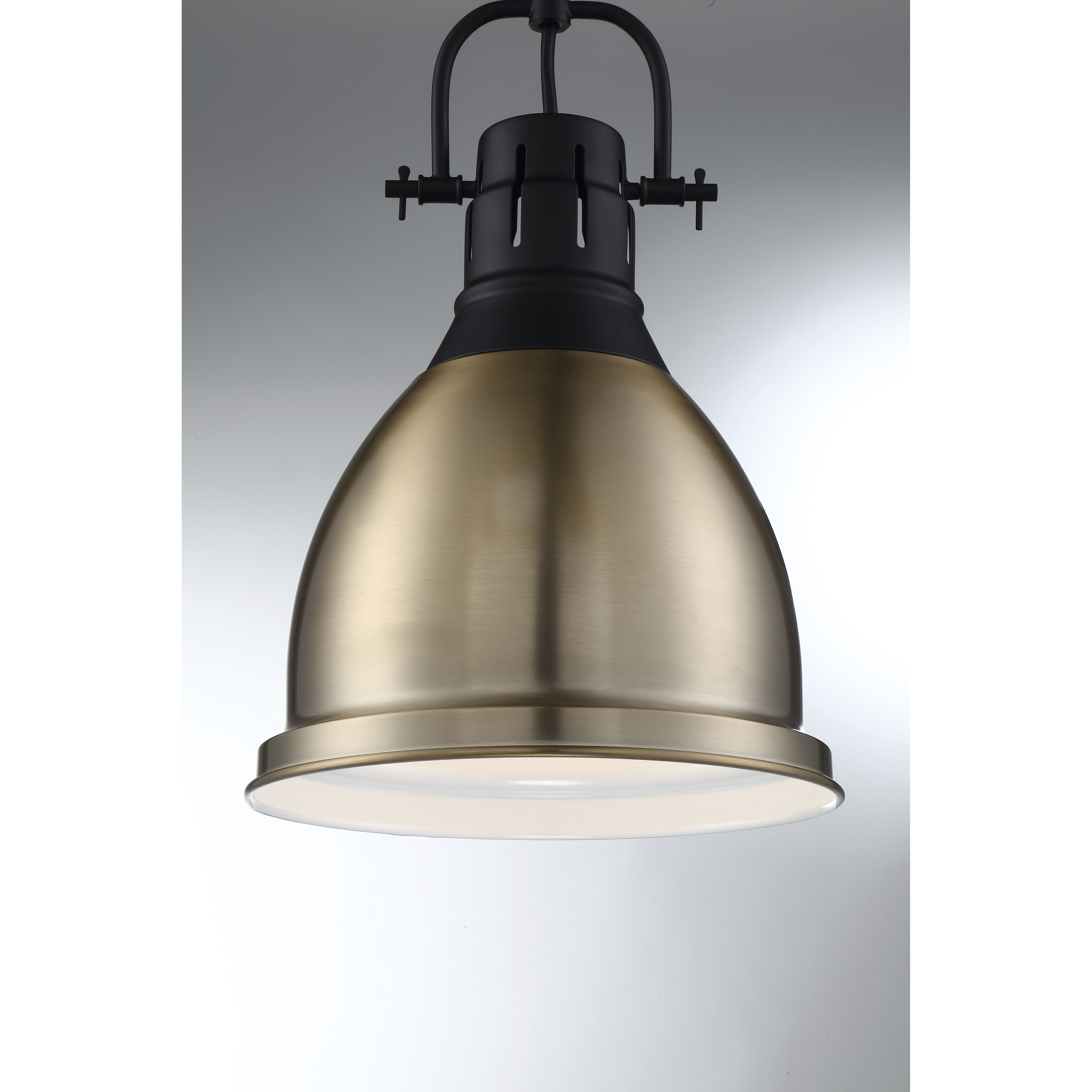 Watson 1 Light 10.25 inch Matte Black and Burnished Brass Pendant Ceiling Light