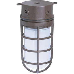 Brentwood 1 Light 4 inch Old Bronze Outdoor Ceiling Mount