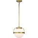 Lakeshore 1 Light 10 inch Natural Brass Pendant Ceiling Light