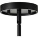 Valentine 12 inch Black Pendant Ceiling Light