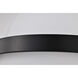 Lakeshore 1 Light 10 inch Matte Black Flush Mount Ceiling Light