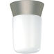 Brentwood 1 Light 4 inch Satin Aluminum Outdoor Ceiling Mount
