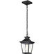 Jasper 8 inch Matte Black Outdoor Hanging Lantern