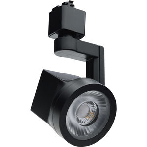 Lantern 1 Light 120 Black Track Lighting Ceiling Light