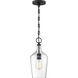 Hartley 1 Light 7 inch Matte Black and Clear Pendant Ceiling Light