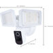 Starfish Outdoor Security Light