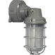 Brentwood LED 12 inch Gray Outdoor Wall Light