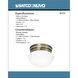 Brentwood 1 Light 8 inch Antique Brass Flush Mount Ceiling Light