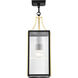 Holden 8.5 inch Black and Gold Outdoor Hanging Light