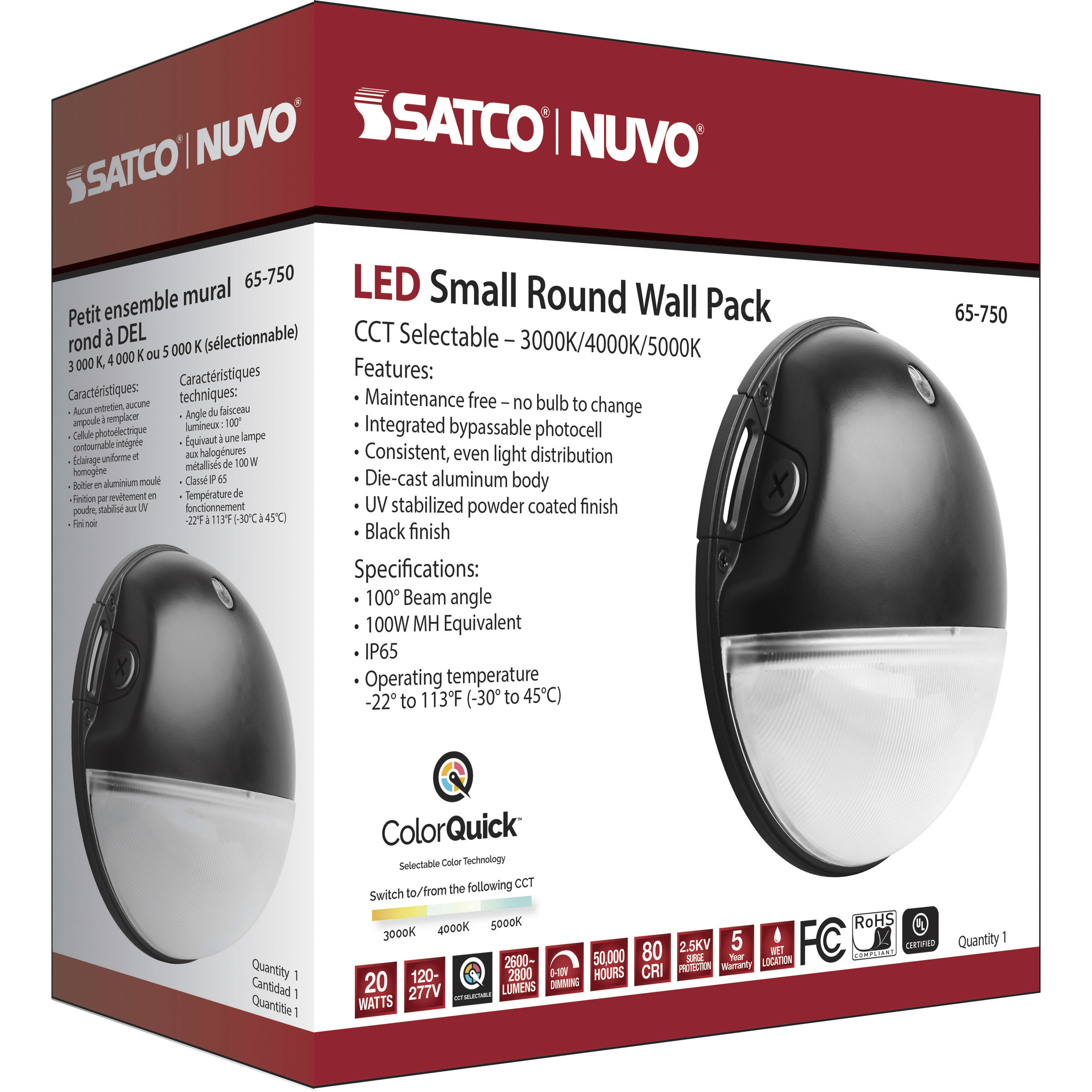 Brentwood LED 9 inch Black Outdoor Wall Pack