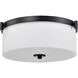 Liam 16.63 inch Matte Black Flush Mount Ceiling Light