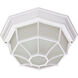 Brentwood 1 Light 11 inch White Outdoor Flush Mount