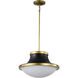 Lafayette 1 Light 18.00 inch Pendant