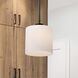 Warren 8 inch Gun Metal Pendant Ceiling Light