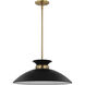 Perkins 1 Light 19.63 inch Matte Black/Burnished Brass Pendant Ceiling Light