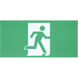 Running Man LED 19.74 inch Brushed Aluminum Exit & Emergency Ceiling Light