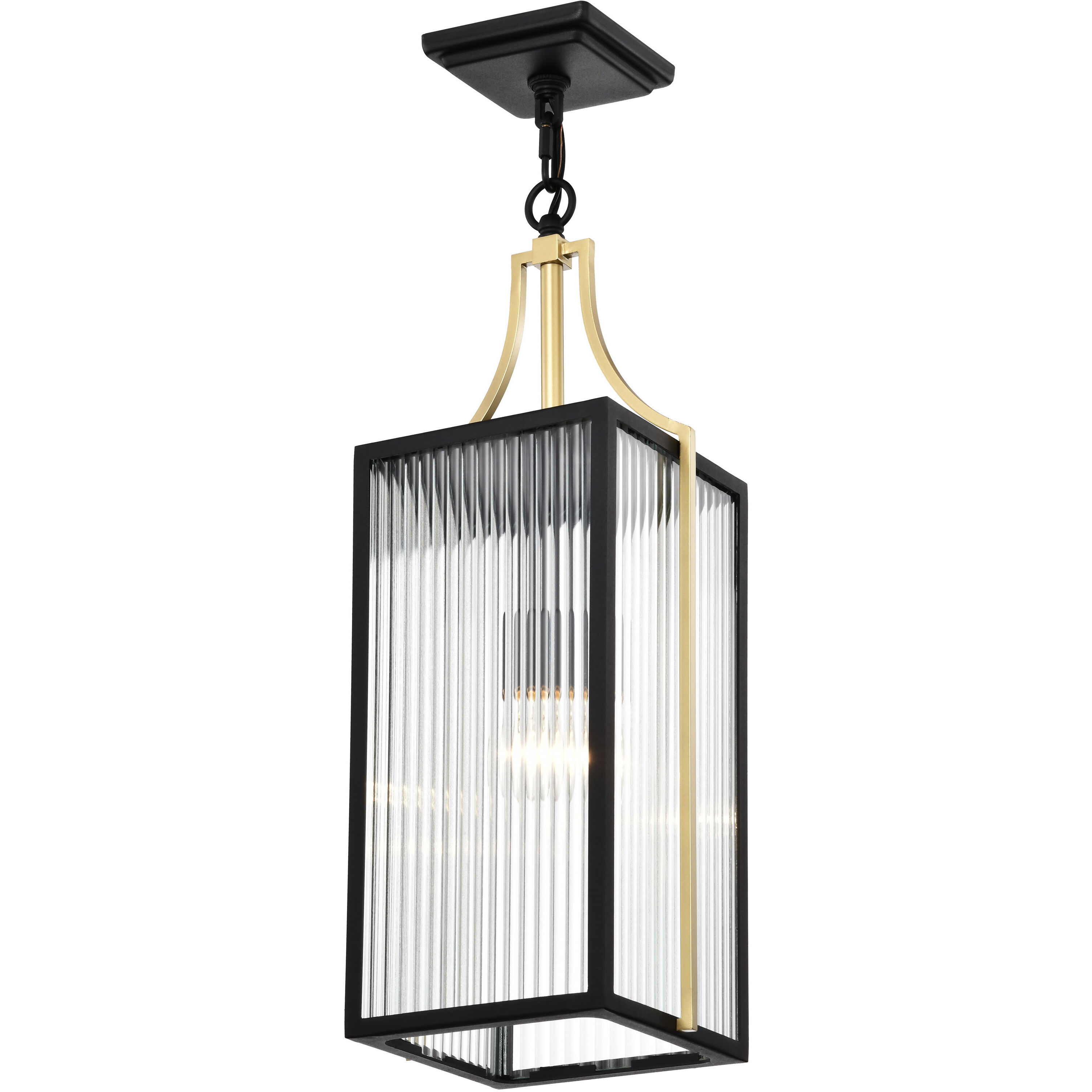 Holden 8.5 inch Black and Gold Outdoor Hanging Light