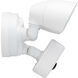 Starfish Outdoor Security Light