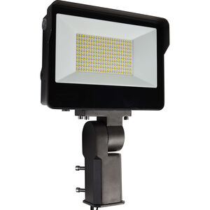 Brentwood LED 3.86 inch Bronze Flood Light