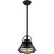 Upton 1 Light 9.75 inch Gloss Black and Silver Pendant Ceiling Light