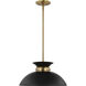 Perkins 1 Light 15 inch Matte Black/Burnished Brass Pendant Ceiling Light
