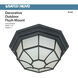 Brentwood 1 Light 11 inch Textured Black Outdoor Flush Mount