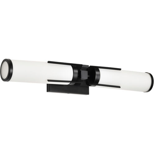Roselle 2 Light 24 inch Matte Black Vanity Light Wall Light
