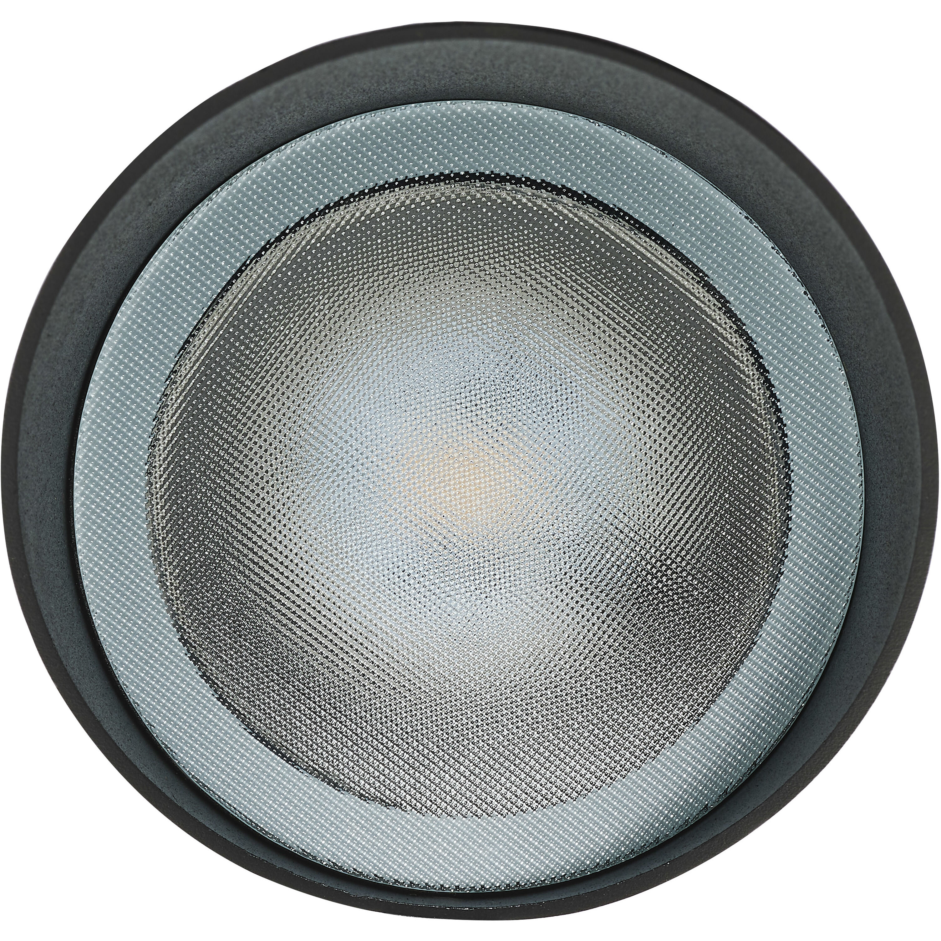 Brentwood 120V 12.00 watt Matte Black Landscape Flood Light