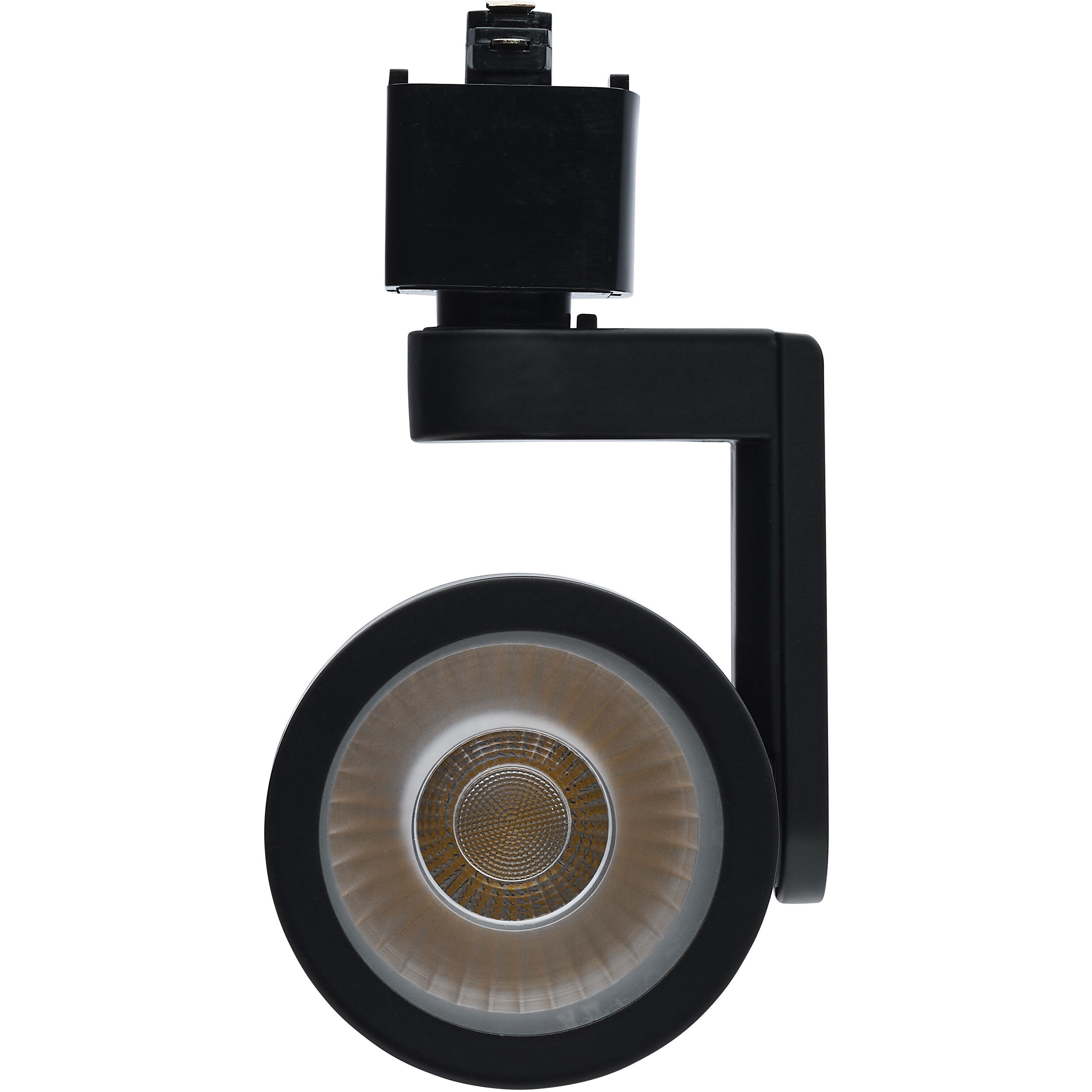 Lantern 1 Light 120 Black Track Lighting Ceiling Light