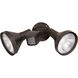 Brentwood 2 Light 5 inch Bronze Outdoor Flood Light