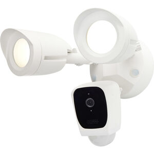 Bullet LED 8 inch White Outdoor Security Camera 