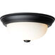 Brentwood 2 Light 11.38 inch Matte Black Flush Mount Ceiling Light