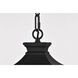 Jasper 8 inch Matte Black Outdoor Hanging Lantern