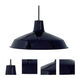 Brentwood 1 Light 16 inch Black and Steel Pendant Ceiling Light