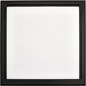 Blink LED 9 inch Black Edge Lit Ceiling Light