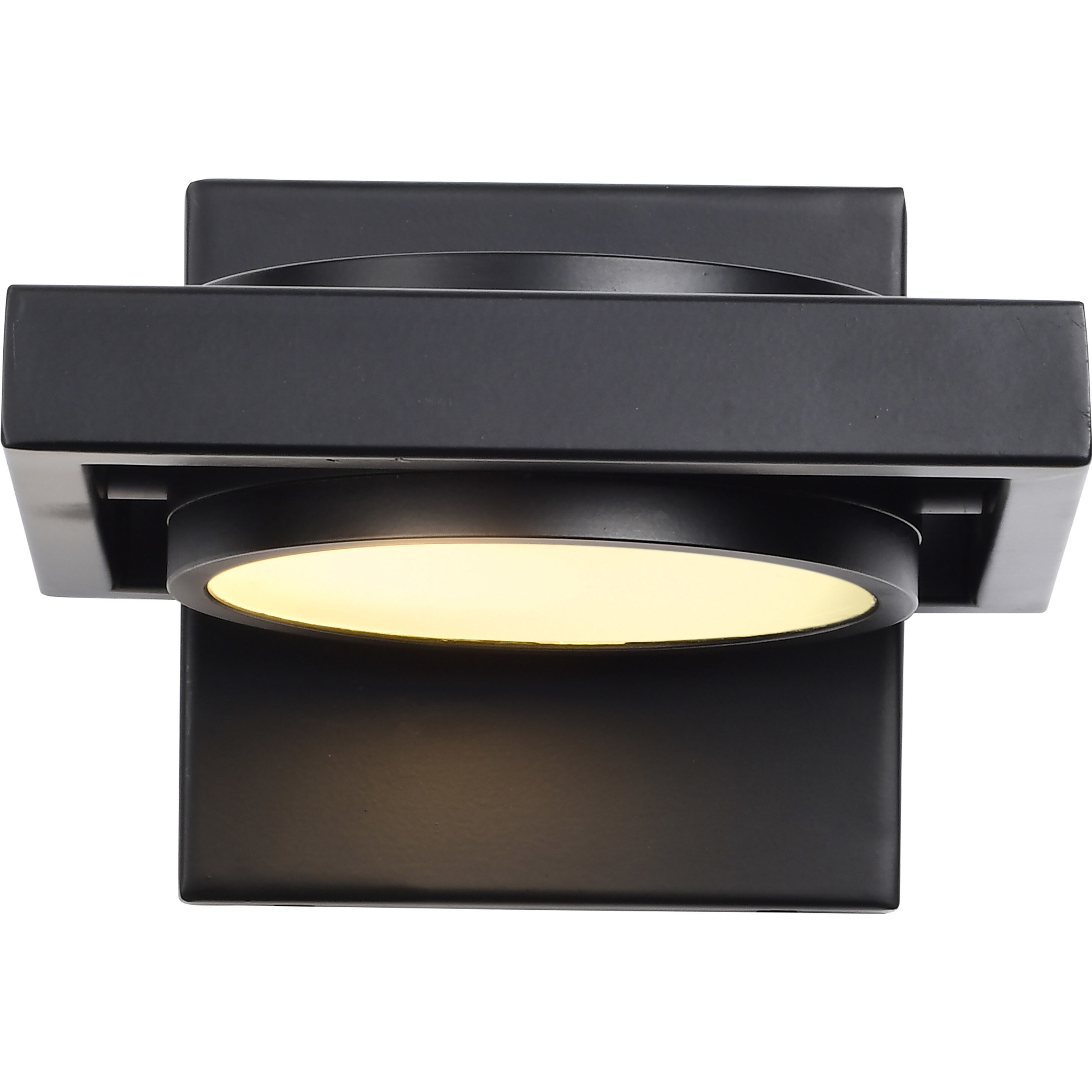 Hawk LED 7 inch Black Wall Sconce Wall Light