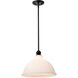 Russel 14 inch Matte Black Pendant Ceiling Light