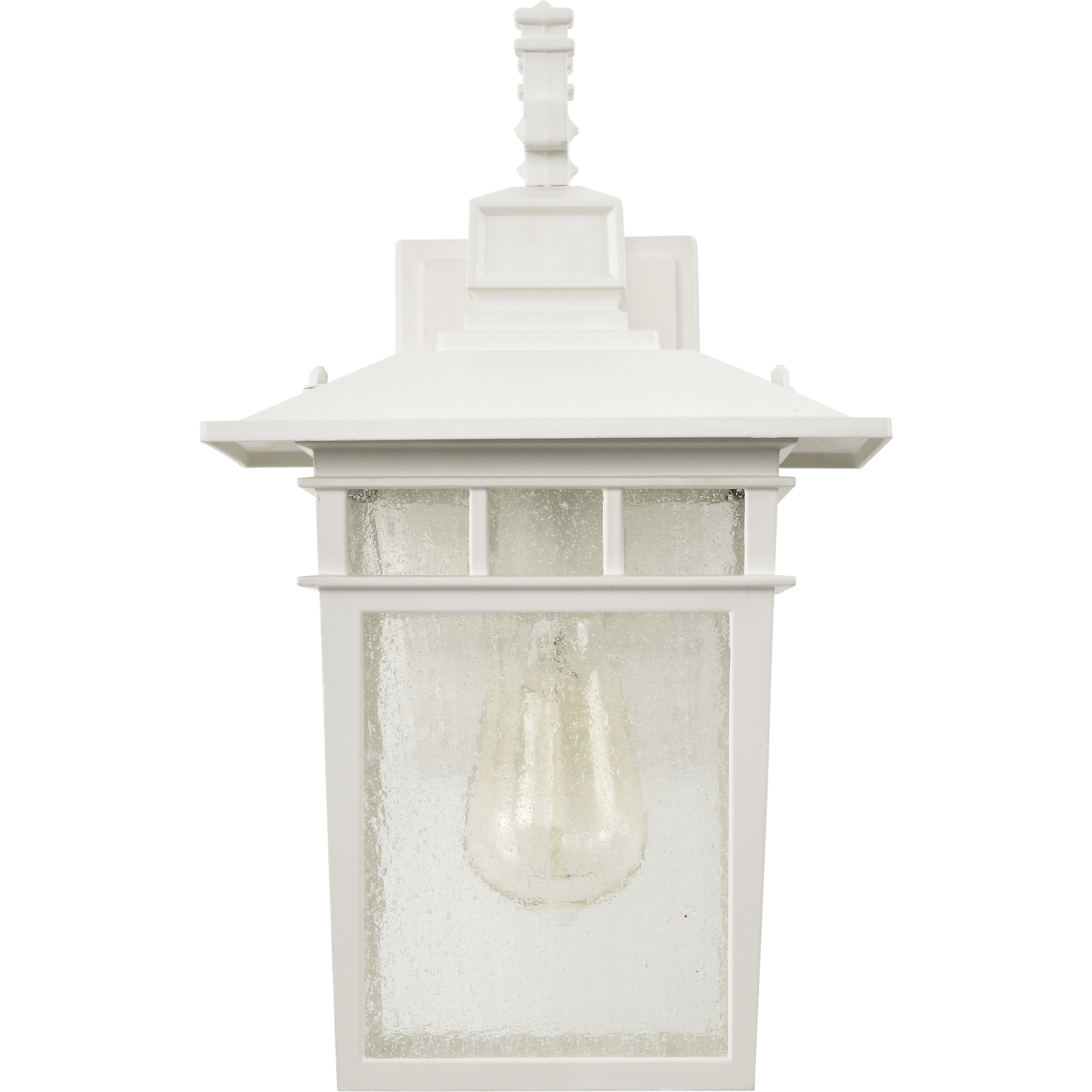 Cove Neck 1 Light 14 inch White and Clear Seeded Outdoor Wall Light