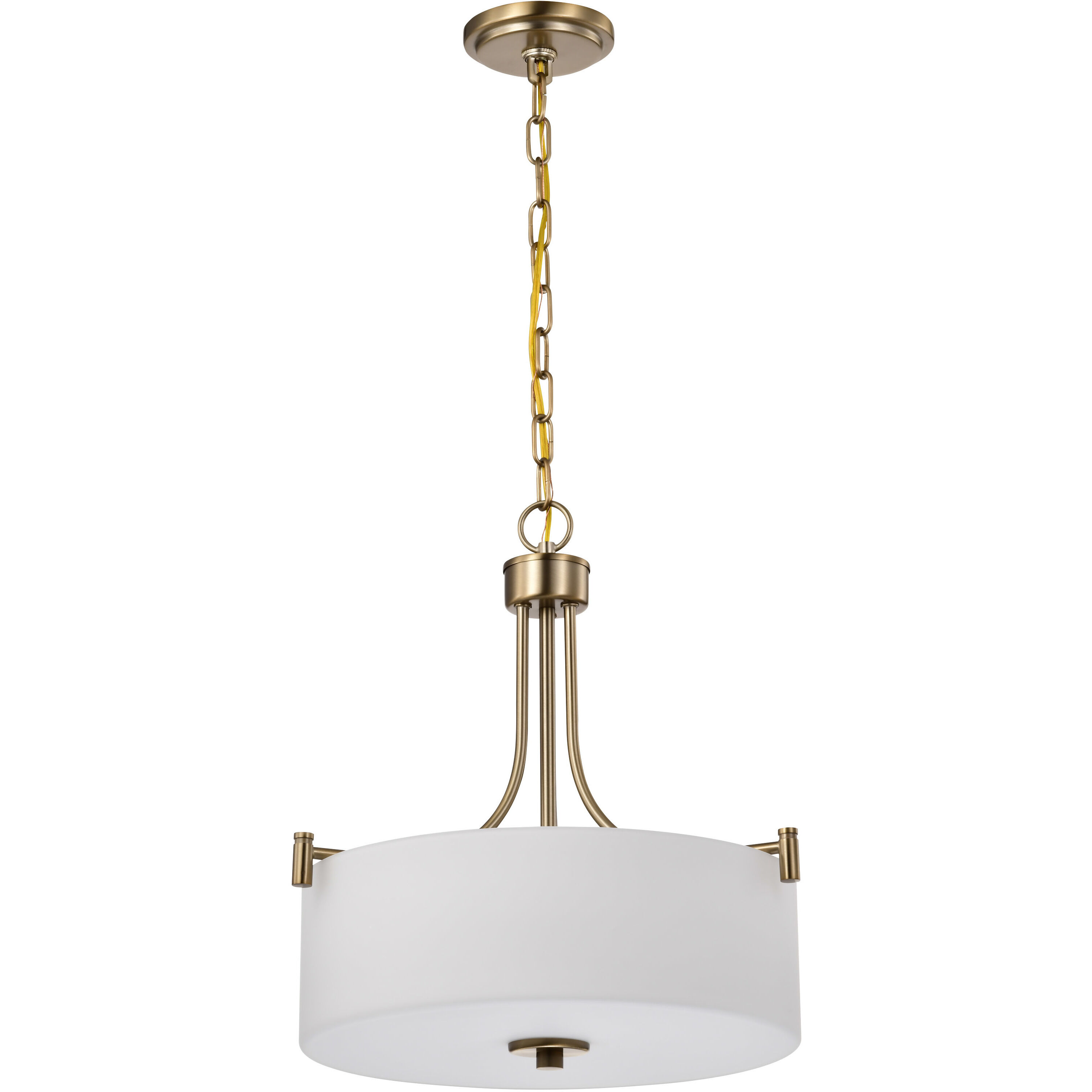 Liam 15.88 inch Burnished Brass Pendant Ceiling Light