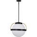 Lakeshore 1 Light 13 inch Matte Black Pendant Ceiling Light