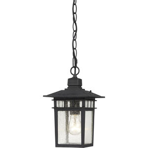 Cove Neck 1 Light 7 inch Textured Black Outdoor Hanging Lantern